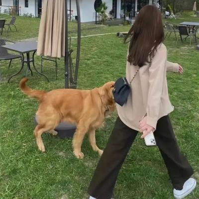 金装季节粤语