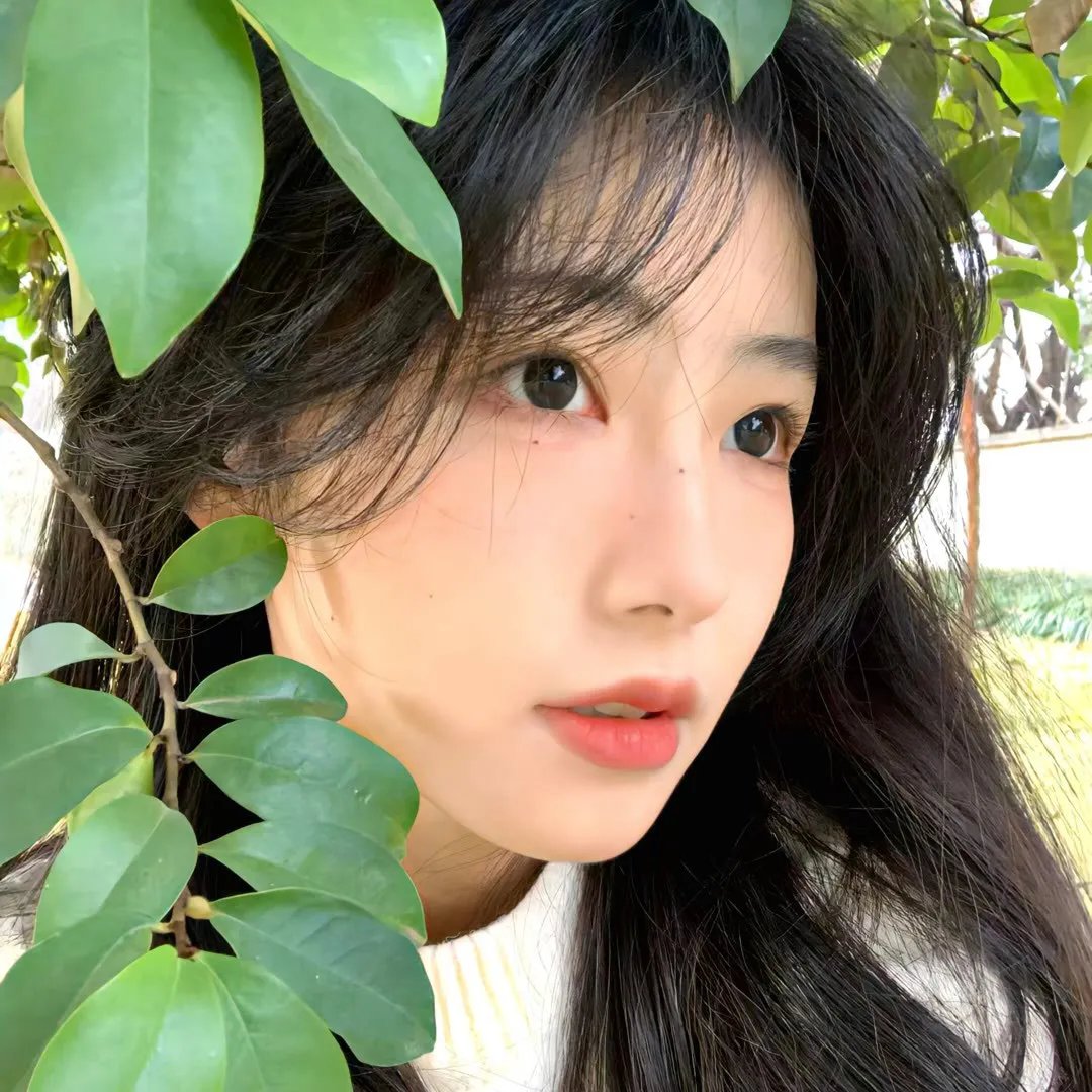 阿菊与阿勇