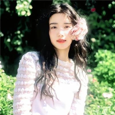 海豚的故事2